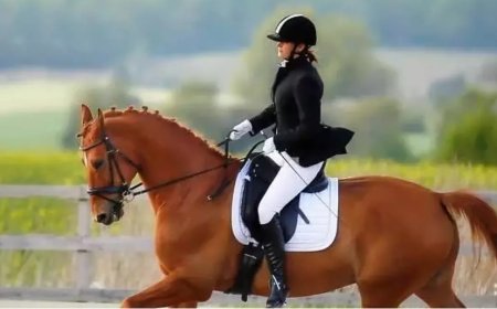 Traumdeutung: Was es bedeutet, im Traum Reiten zu sehen