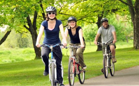 Was bedeutet es, von einem Fahrrad zu träumen? Reisen, Entscheidungen und Lebensprüfungen