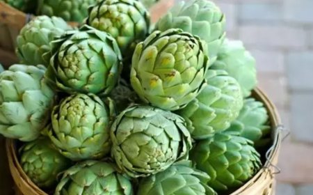 Artischocken: Mediterranes Superfood mit wissenschaftlich gestützten Vorteilen